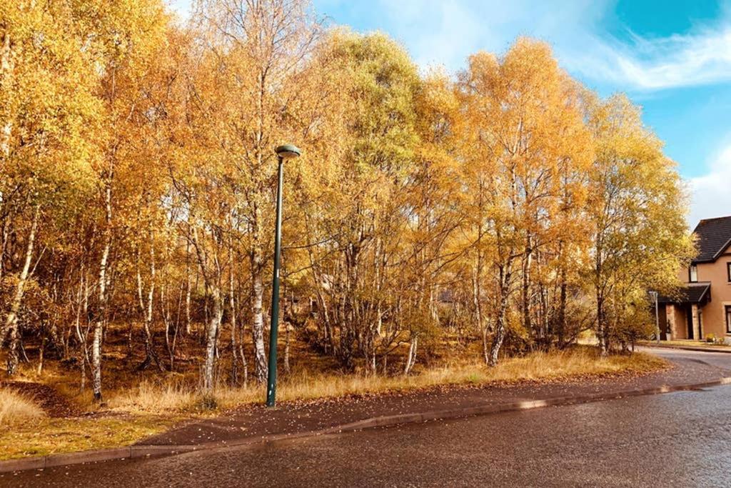 Cairngorm Cottage Авімор Екстер'єр фото